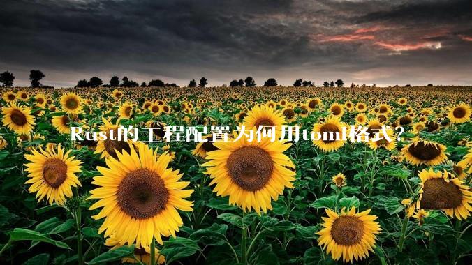 Rust的工程配置为何用toml格式？