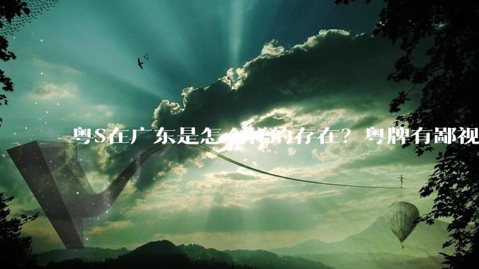 粤S在广东是怎么样的存在？粤牌有鄙视链吗？