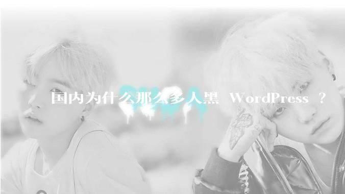 国内为什么那么多人黑 WordPress ？