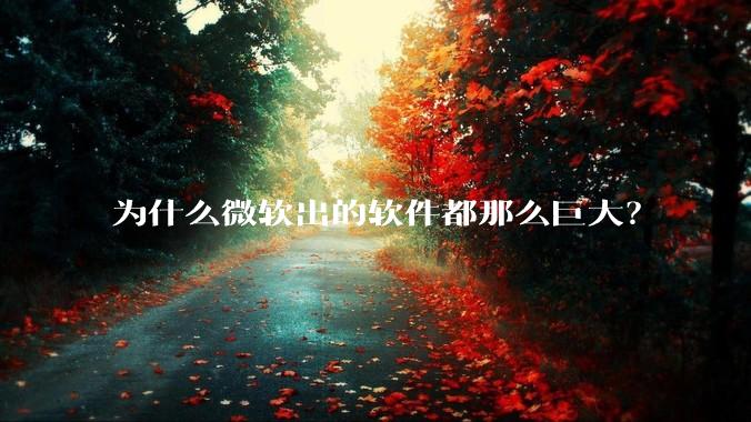 为什么微软出的软件都那么巨大？