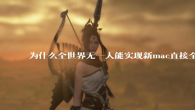 为什么全世界无一人能实现新mac直接全功能稳定装Win 11 arm，或PC直接装macOS arm？