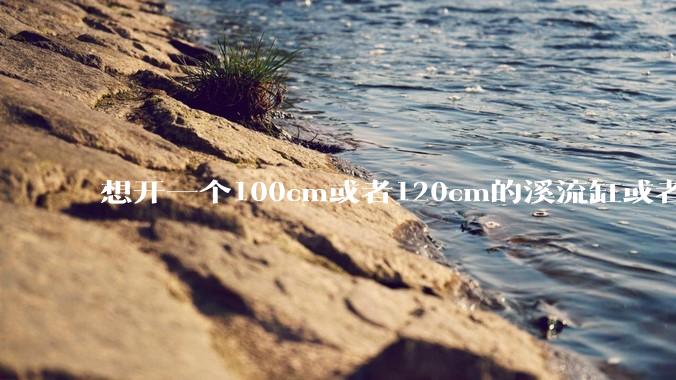 想开一个100cm或者120cm的溪流缸或者水草缸，有没有大佬指导一下，有哪些注意事项？