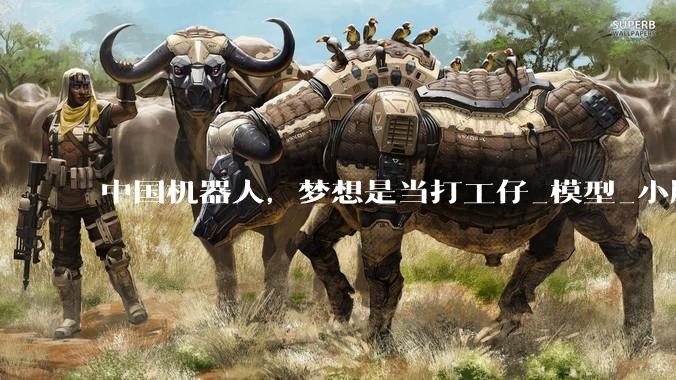 中国机器人，梦想是当打工仔_模型_小脑_全世界