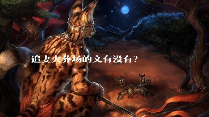 追妻火葬场的文有没有？