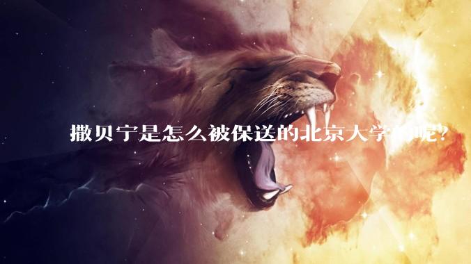 撒贝宁是怎么被保送的北京大学的呢？
