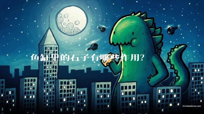 鱼缸里的石子有哪些作用？