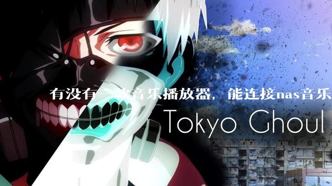 有没有一款音乐播放器，能连接nas音乐，创建音乐库，自动匹配歌词封面等等？类似infuse的概念呢？