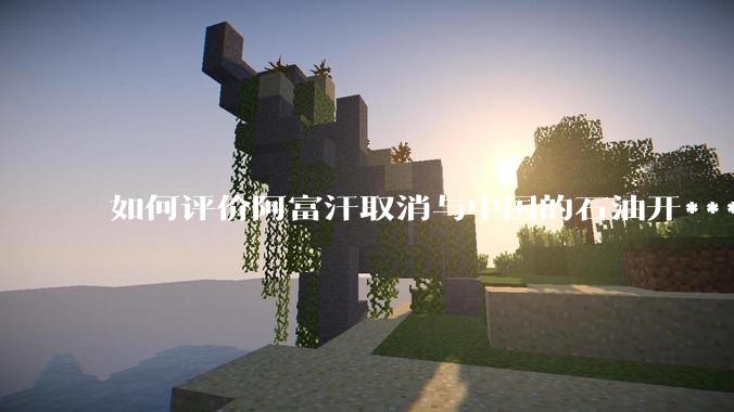 如何评价阿富汗取消与中国的石油开***合同？