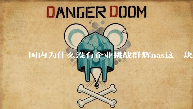 国内为什么没有企业挑战群辉nas这一块市场？
