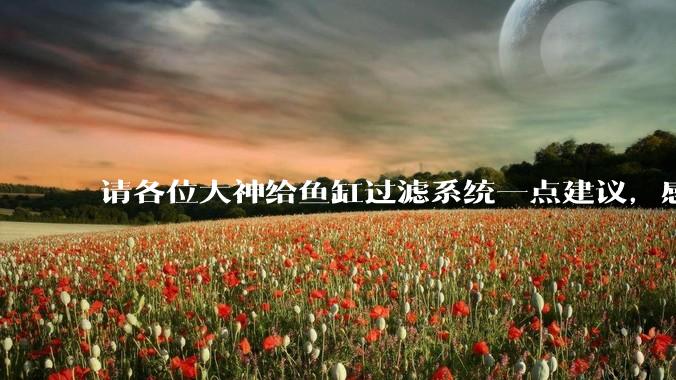 请各位大神给鱼缸过滤系统一点建议，感觉进水口的吸力不够，花篮还总停止转动。?